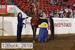 12buck_2619 proof