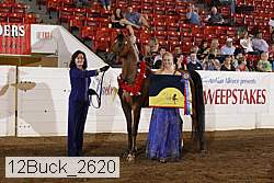 12buck_2620 proof
