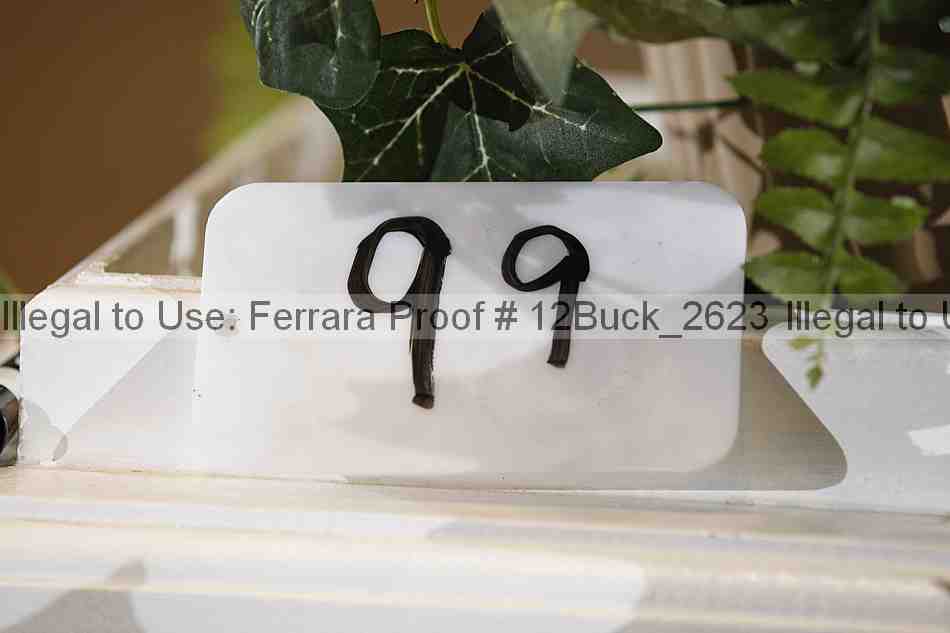 Proof 12buck_2623