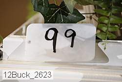 12buck_2623 proof