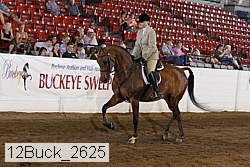 12buck_2625 proof