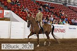 12buck_2626 proof