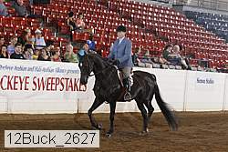 12buck_2627 proof