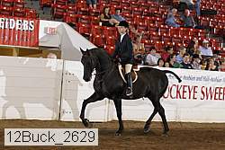 12buck_2629 proof