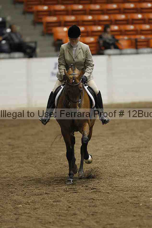 Proof 12buck_2639