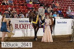 12buck_2641 proof