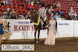 12buck_2642 proof