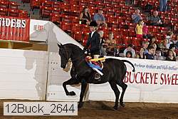 12buck_2644 proof