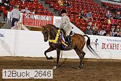 12buck_2646 proof