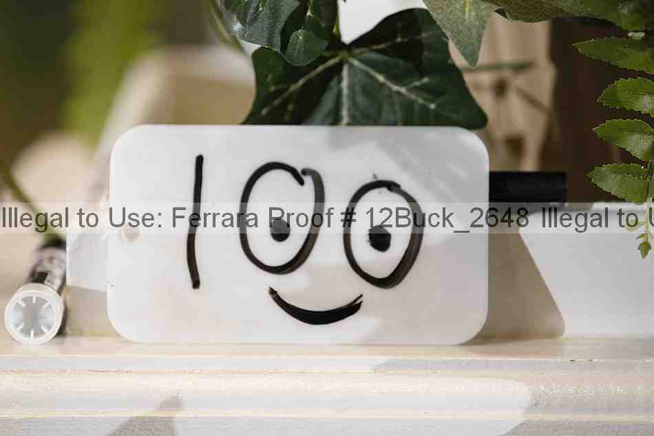 Proof 12buck_2648