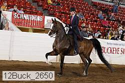 12buck_2650 proof