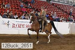 12buck_2651 proof