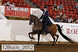 12buck_2652 proof