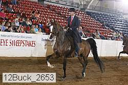 12buck_2653 proof