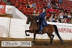 12buck_2654 proof