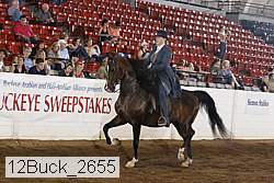 12buck_2655 proof