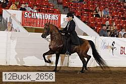 12buck_2656 proof