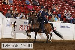 12buck_2660 proof