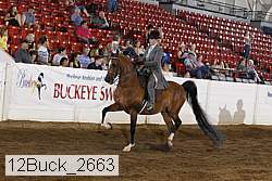 12buck_2663 proof