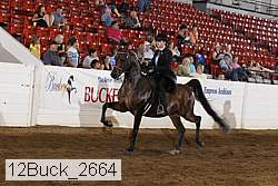 12buck_2664 proof