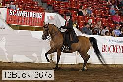 12buck_2673 proof