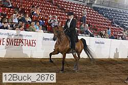 12buck_2676 proof