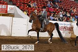 12buck_2678 proof
