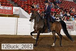 12buck_2682 proof