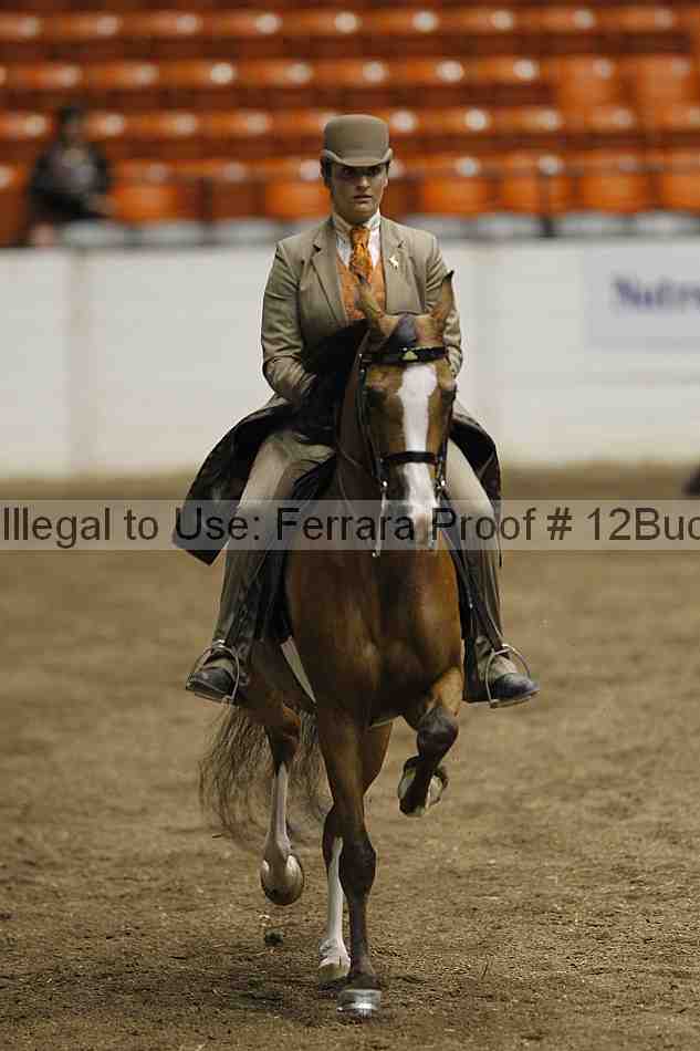 Proof 12buck_2689