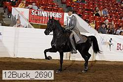 12buck_2690 proof