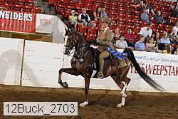 12buck_2703 proof