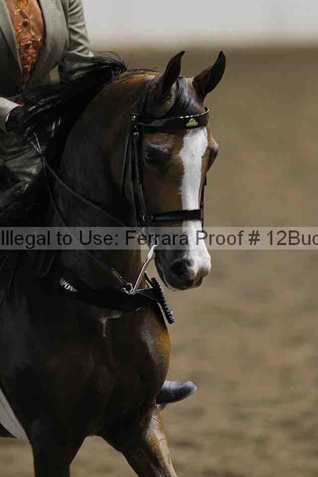 Proof 12buck_2706