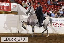 12buck_2707 proof