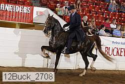 12buck_2708 proof