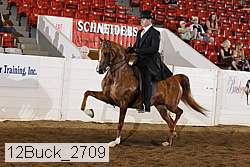 12buck_2709 proof