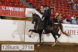 12buck_2714 proof