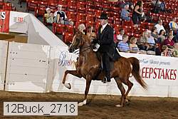 12buck_2718 proof