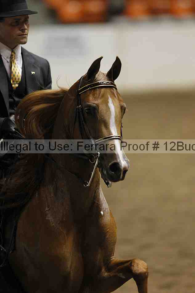 Proof 12buck_2719