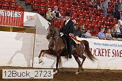 12buck_2723 proof
