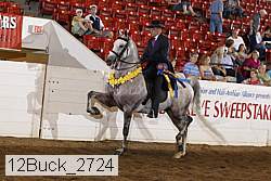 12buck_2724 proof