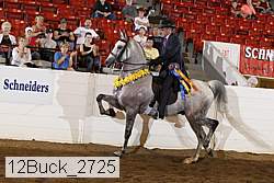 12buck_2725 proof