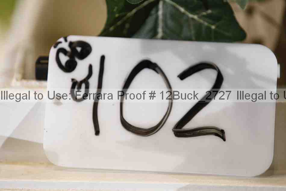 Proof 12buck_2727