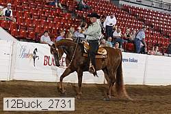 12buck_2731 proof