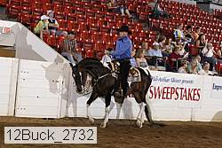 12buck_2732 proof