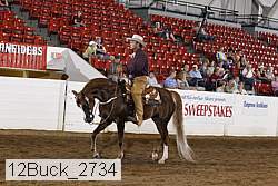 12buck_2734 proof