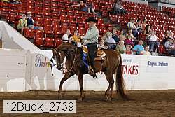 12buck_2739 proof