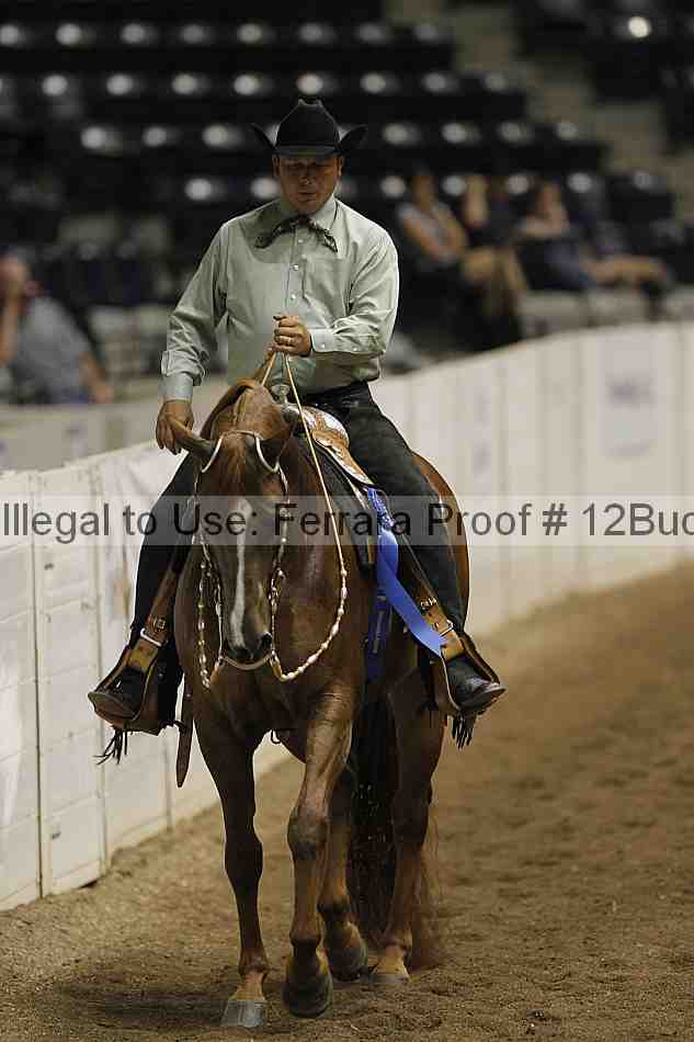 Proof 12buck_2741