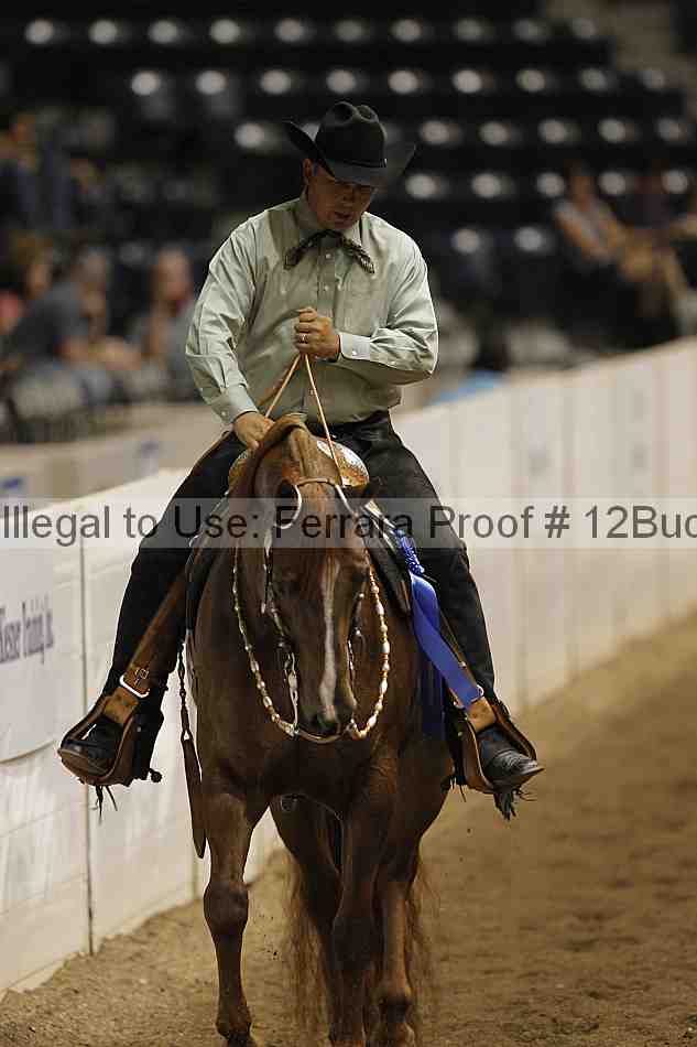 Proof 12buck_2743