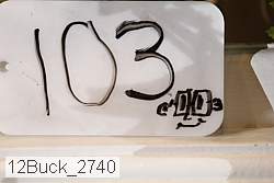 12buck_2740 proof