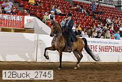 12buck_2745 proof